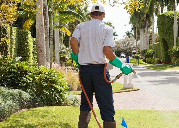 About Rawlings VA Pest Control Pros